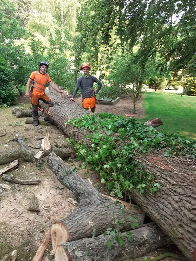 Isaac and colleague with a felled tree in North Norfolk